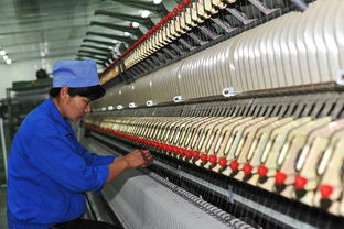 寧夏靈武 占據全球羊絨原絨產量44%的紡紗加工重鎮