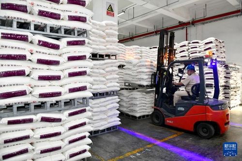 山東兗州 雙輪驅動產業升級，食品加工與紡紗銷售協同發展