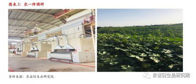 新疆棉花實地調研報告·南疆篇 印染加工的現狀與未來